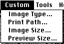 the Custom menu