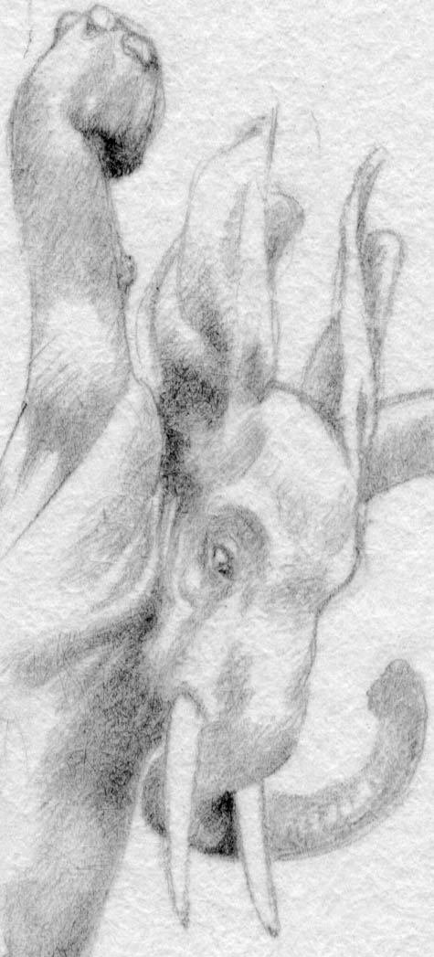 Drop Down Phant #2, sketch detail